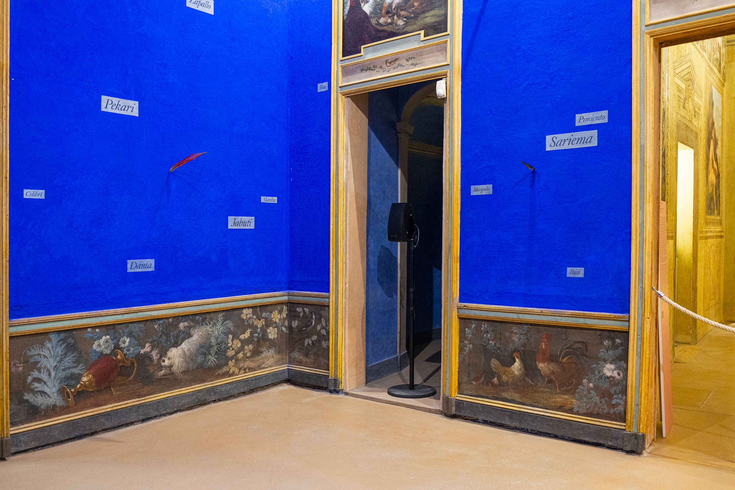 u0022I suoni del mondo / Sounds of the worldu0022, veduta espositiva